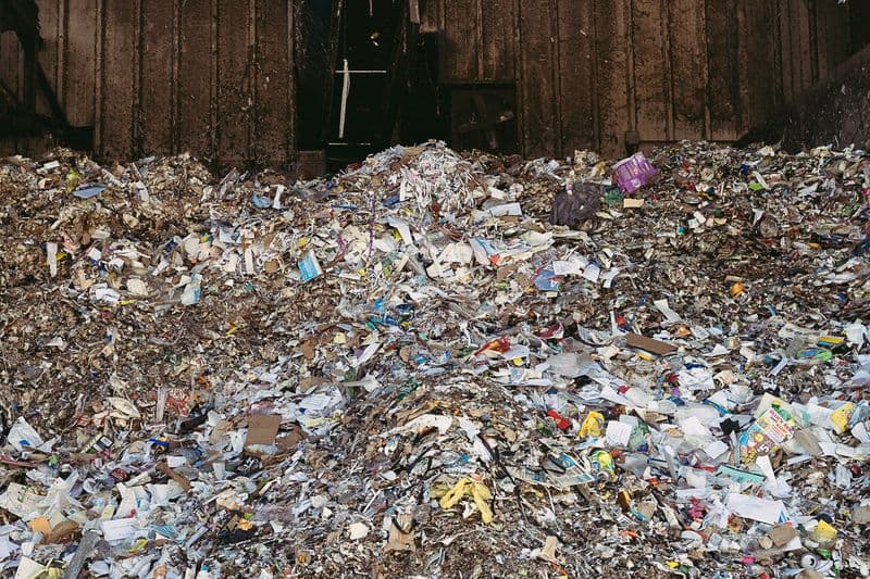 Ocean Plastics Threaten Marine Extinction